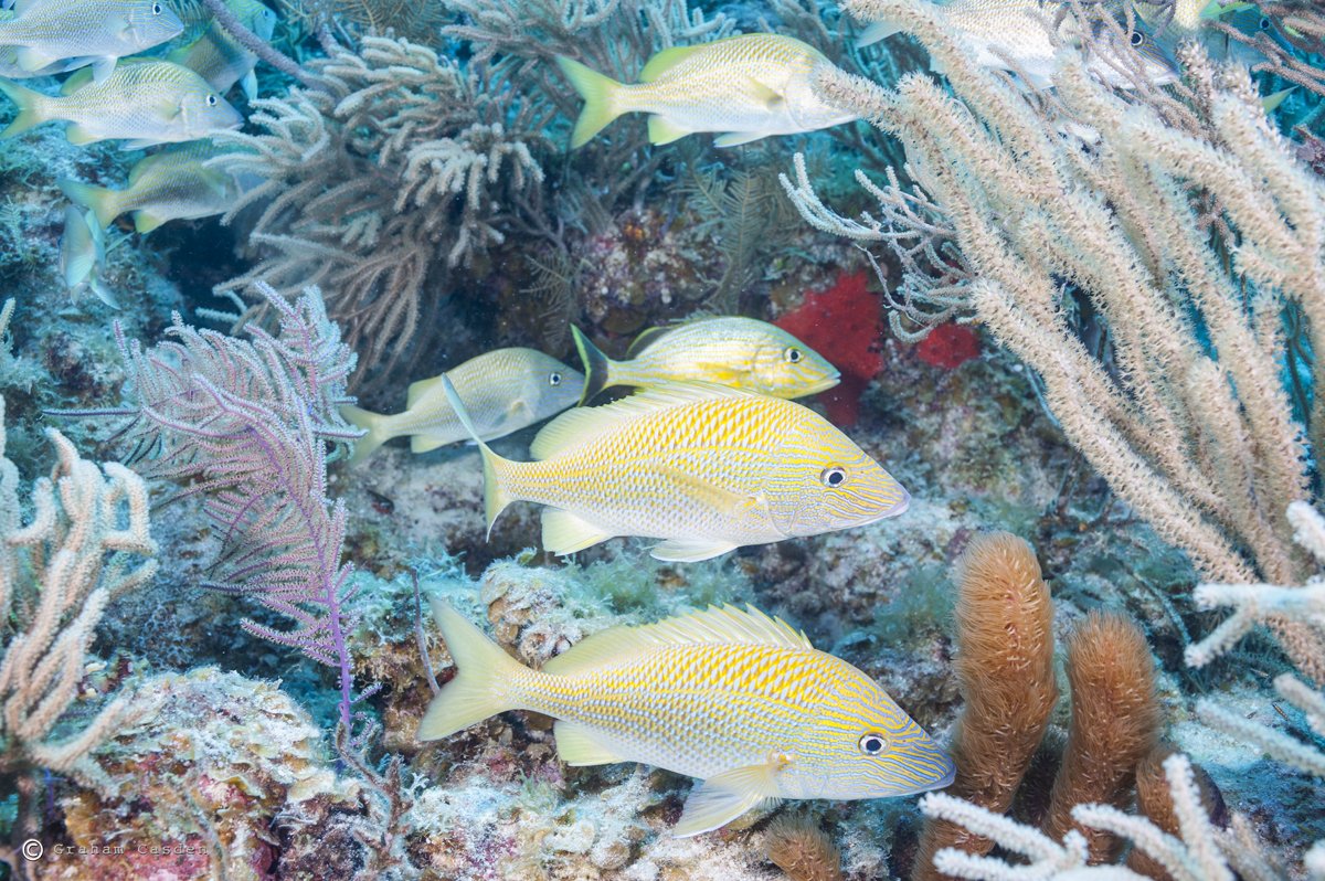 Ocean First Education tweet media