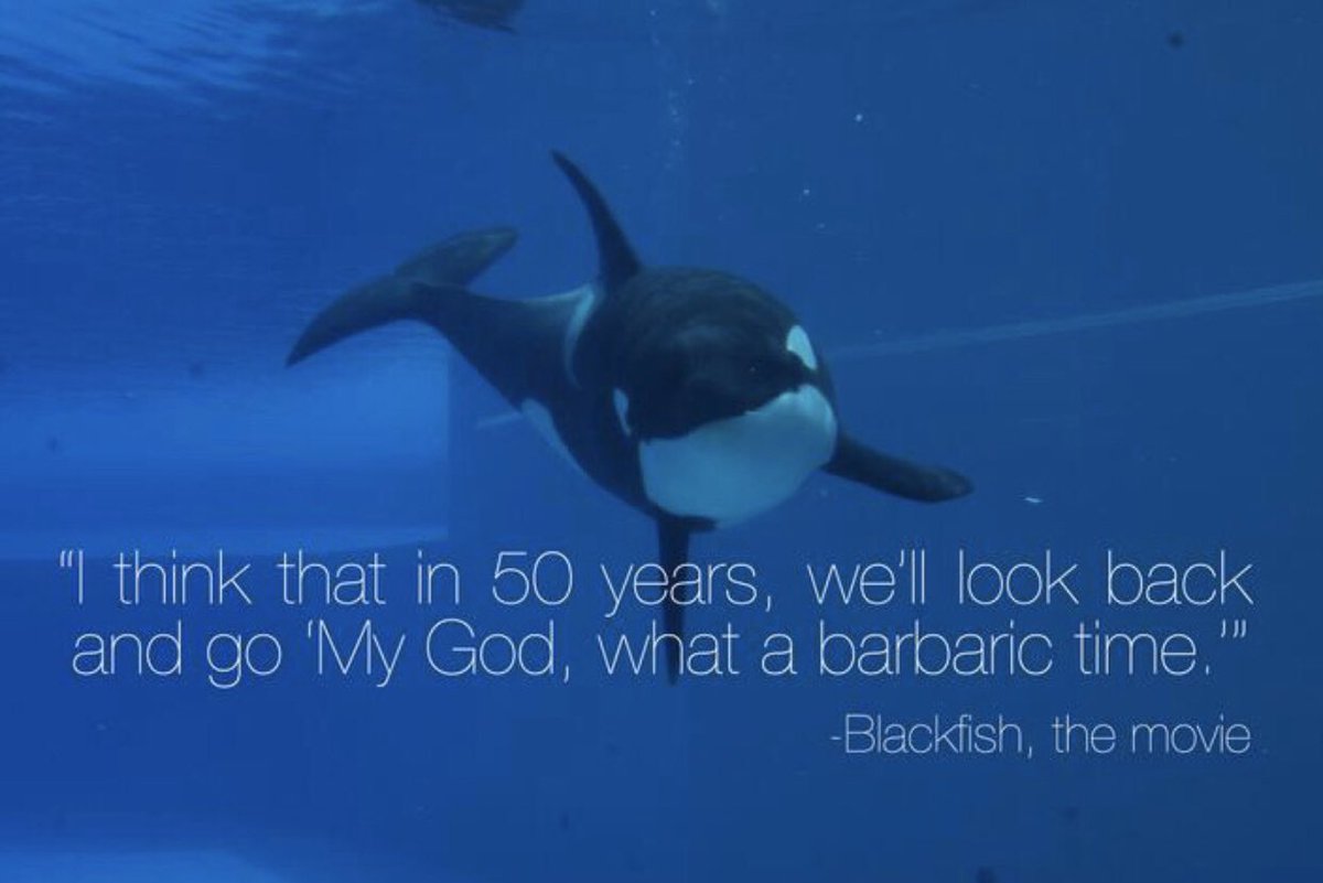 We already are.￼ But in 50 years, there is no doubt, everyone will. 

Watch <a href="/longgonewild/">Long Gone Wild</a> on Amazon, the unofficial sequel to Blackfish.￼

#Blackfish 
#EmptyTheTanks <a href="/SeaWorld/">SeaWorld</a>
#CaptivityKillsBlackfish &amp; People.

whalesanctuaryproject.org