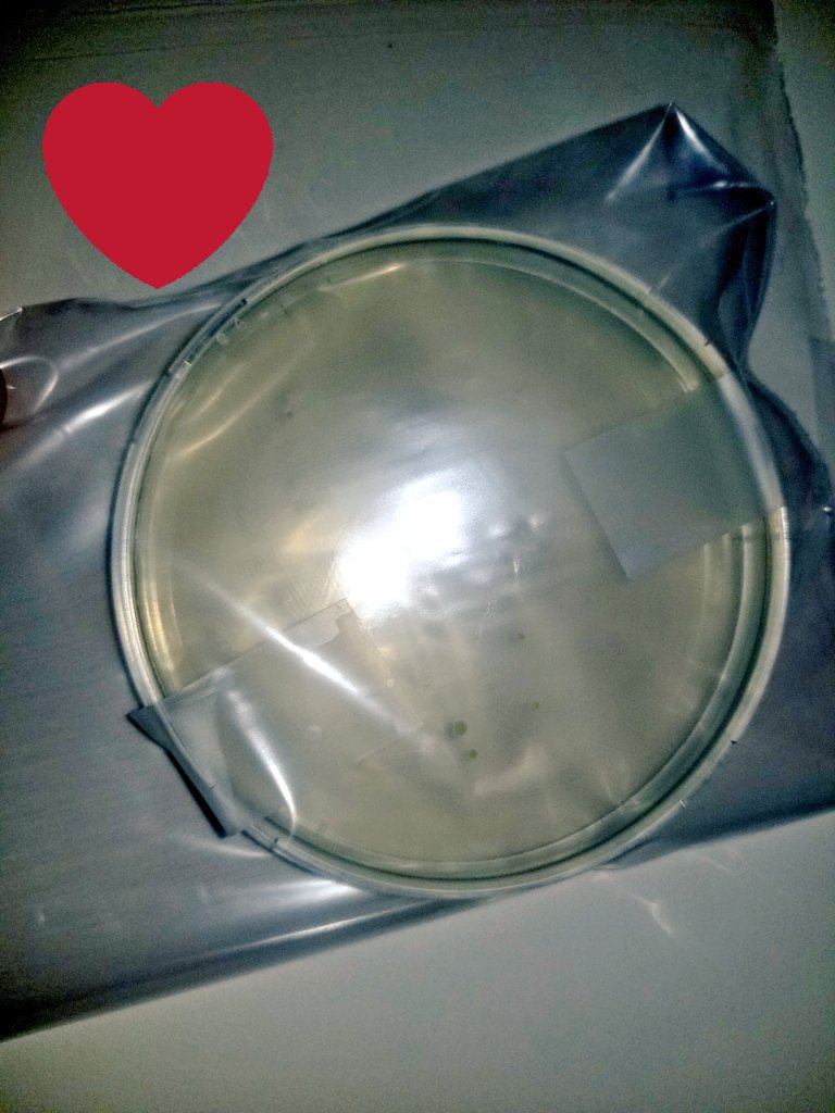 MrsKatWilson's tweet photo. Swabbing hands of teachers to see if we keep our hands germ free. Which petri dish do you think had hand sanitizer before being swabbed?! #redheart or #blueheart?  😷 #usesoapandwater @ChancellorComet https://t.co/XWUAEDn9R0