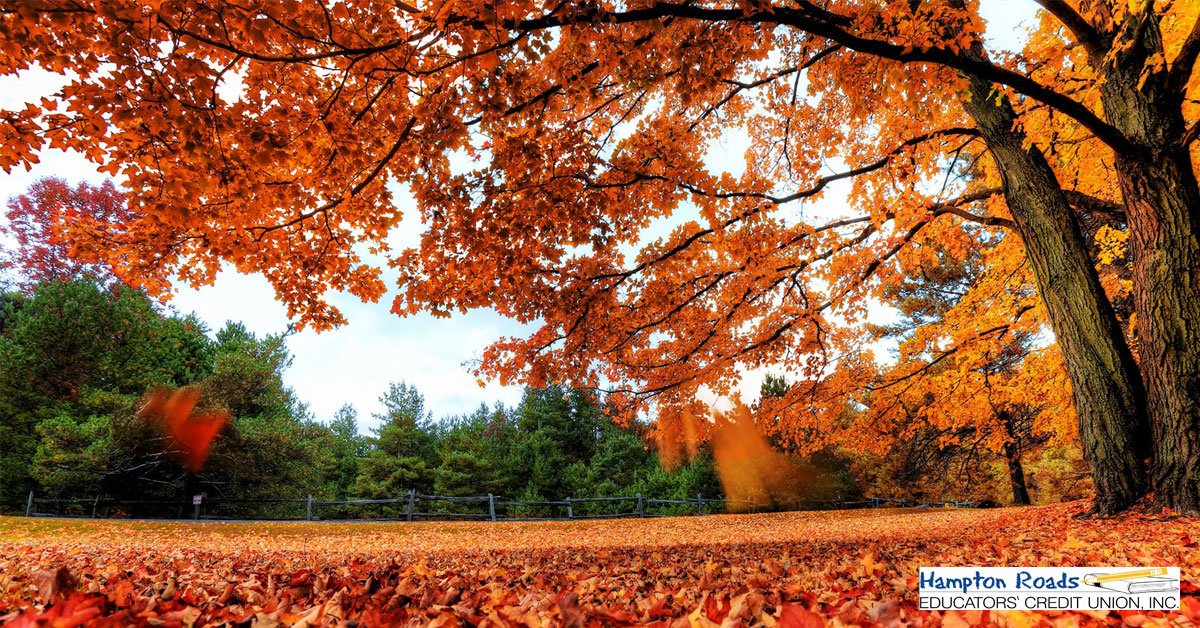 HREducatorsCU's tweet image. Welcome the first day of Autumn! Fall leaves, apple cider and crisp air to come. #AutumnEquinox #FirstDayofFall2019