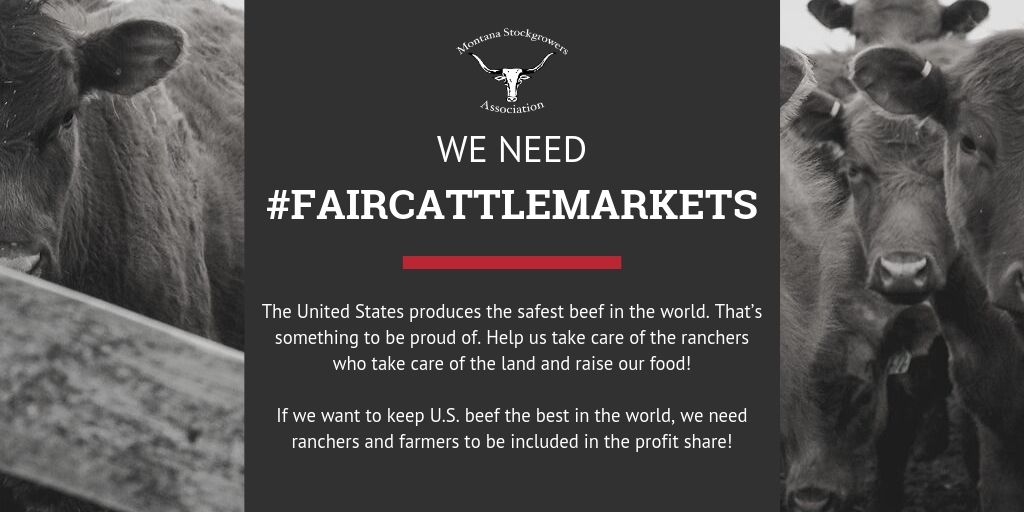 MTStockgrowers's tweet image. Dear @realDonaldTrump 

We are taking part in a Twitter campaign to draw your attention to the current state of cattle markets. MSGA asks you to work with ranchers to achieve #FairCattleMarkets! 

Retweet/favorite this to catch @realDonaldTrump’s attention!