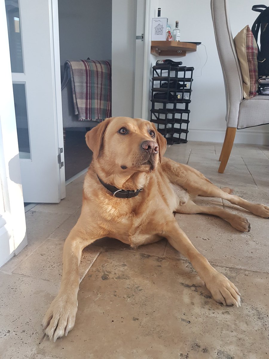 I want the weekend to happen all over again! 
Entwhistle walkies with these two 😍 <a href="/AbbyHolland12/">Abby Holland</a>