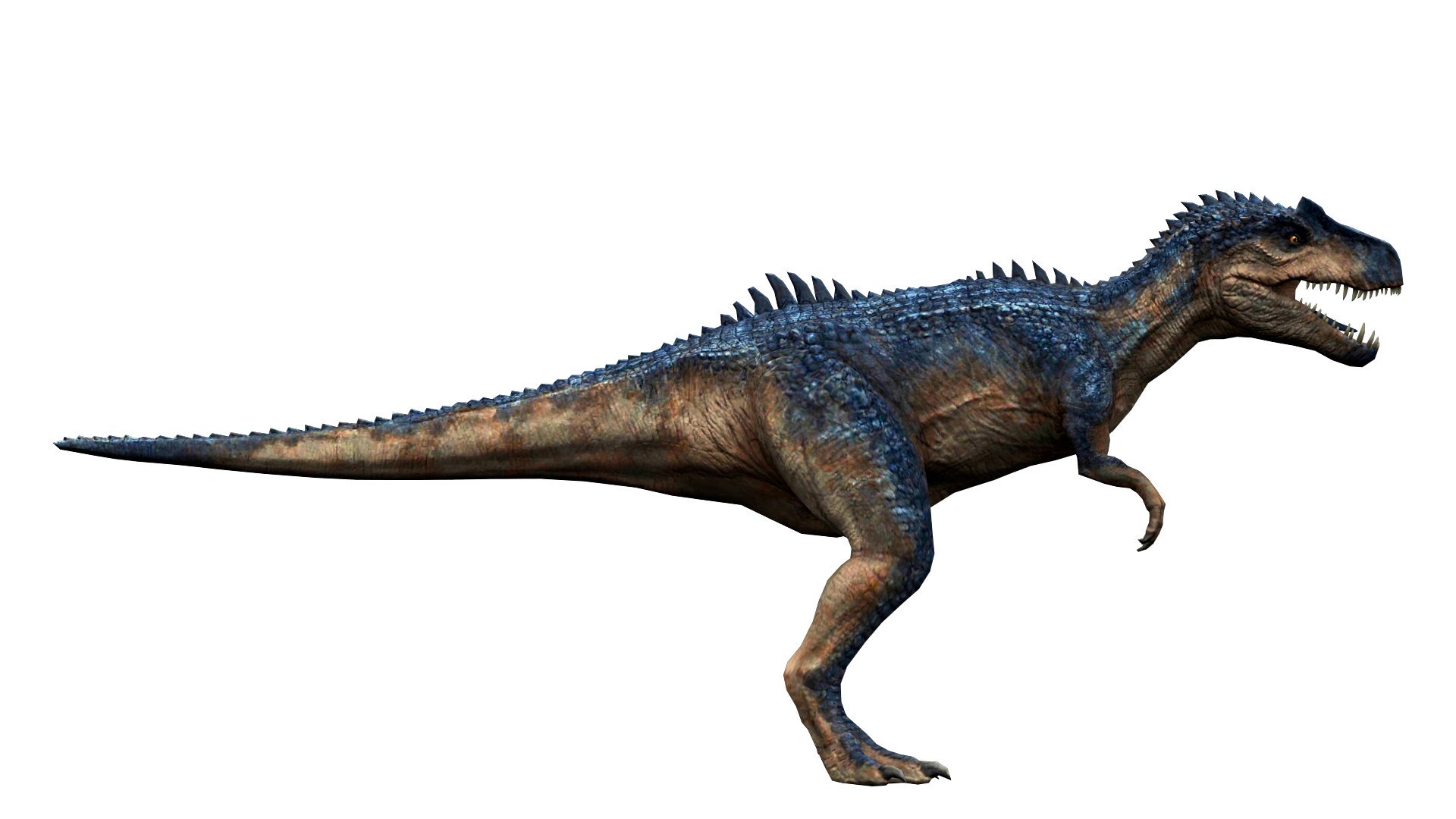 تويتر Chris على تويتر The Base Images For Reference I Heavily Edited The Animatronic Head To More Closely Reflect A Real Allosaurus And While It S Hard To Tell I Believe The