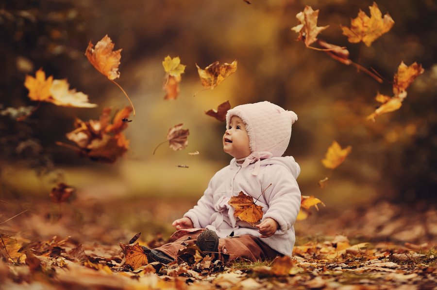 FraserwayRVRent's tweet photo. Its official - Fall has arrived
#letsgorving #letsgocamping #RVrental #fallishere #throwingleaves https://t.co/YbA2Ett3PR