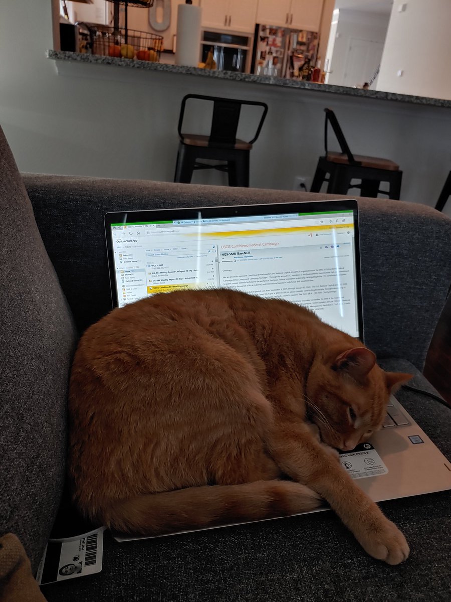 JessPress3's tweet photo. Mr. Luke "helping". https://t.co/1aqXgo1ToU