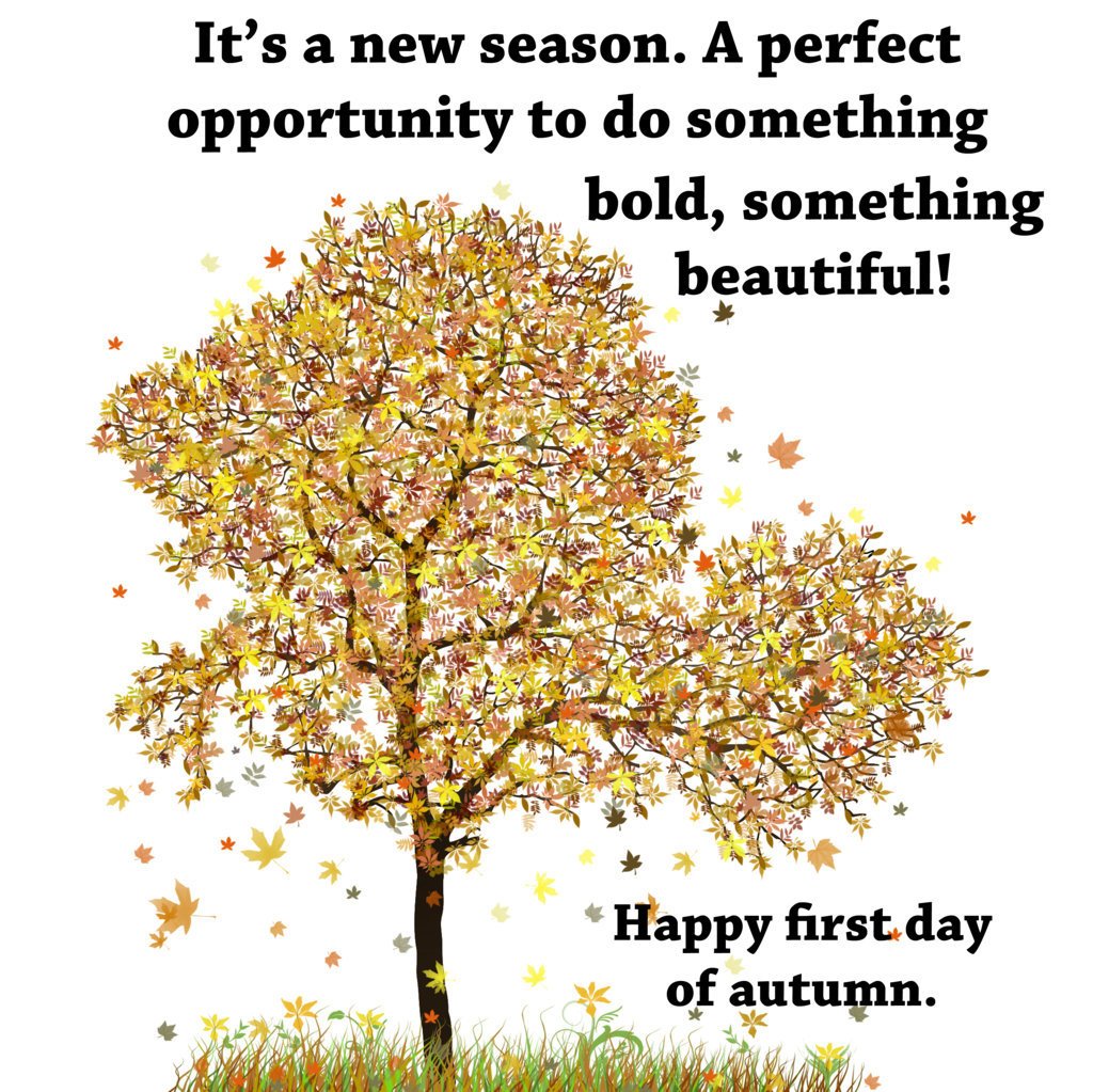 ComputerFixx's tweet image. Happy first day of autumn.
