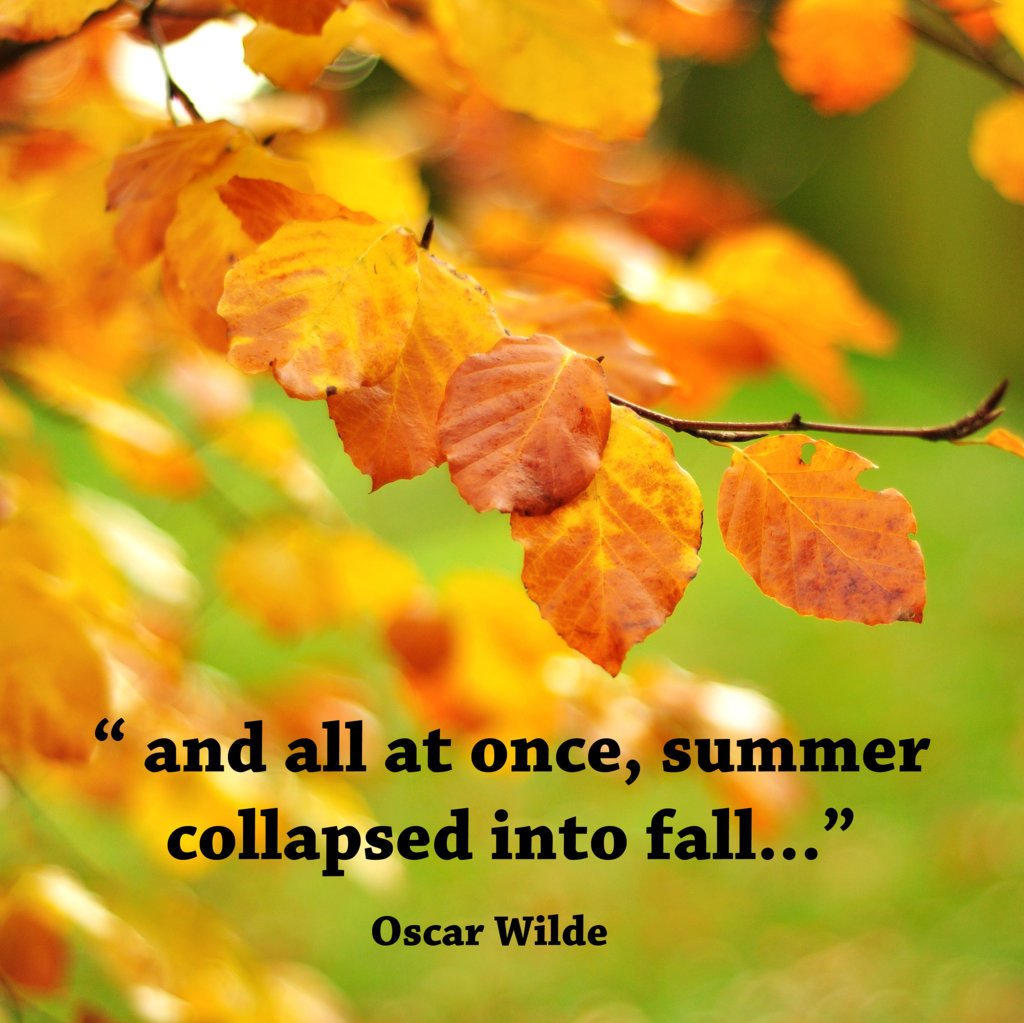 ComputerFixx's tweet image. 