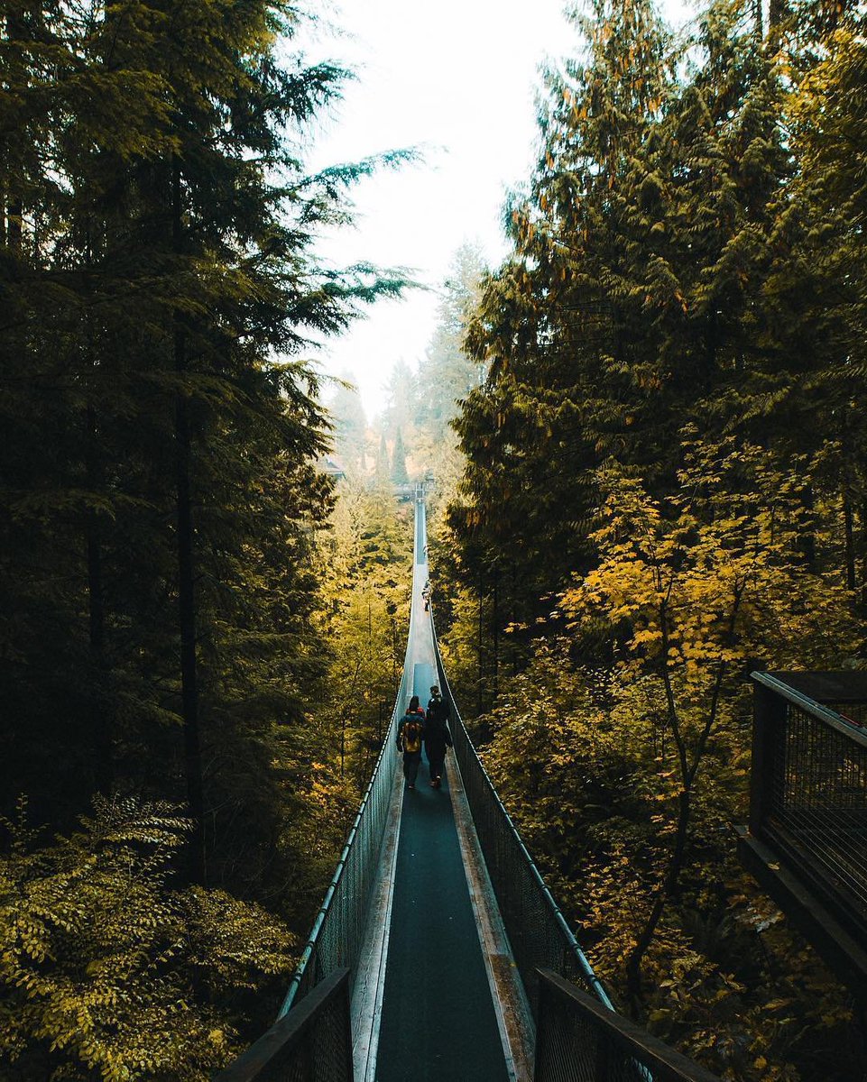 capbridge's tweet photo. Happy First Day of Fall!π #fallequinox #capbridge130 #explorebc #canada #northvan #yvr #fall #AutumnEquinox https://t.co/qprVXRxu38