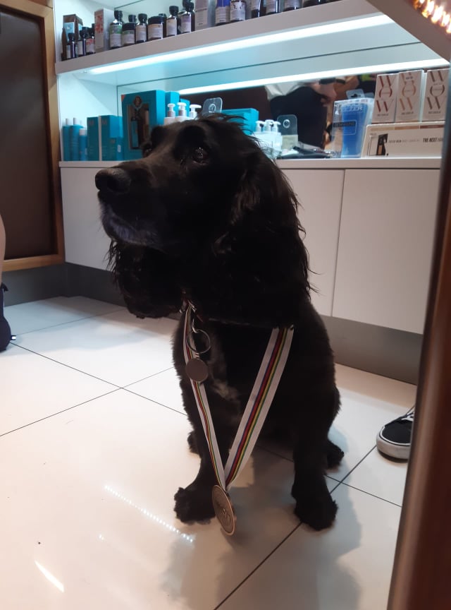 SkinSanctuaryHG's tweet photo. Great to meet @Harrytanfield94 today! Poppy was especially excited to try on Harrys medal! @katushacycling @PeterGotthard @Yorkshire2019 @HgtWelcomes @UCI_cycling #Harrogate #Yorkshire #HarrogateWelcomesTheWorld https://t.co/scULtzXw4b