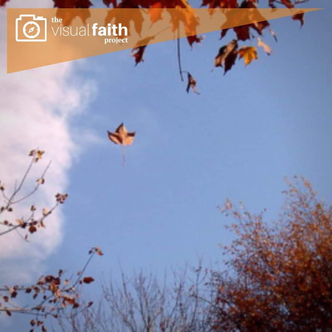 vibrantfaith's tweet photo. 1st day #Fall reflection:
Isaiah 40:8 - The grass withers, the flower fades, but the word of our God will stand forever.
How does this connect to autumn? To your life & faith?
What is withered? Faded? Fallen? Where is new growth? What does this verse speak to you?
#visualfaith https://t.co/mZJkad9YsO