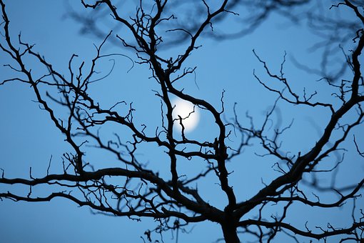 Today is the official start of autumn. Evenings will start getting darker earlier. Do you have the right security measures in place?