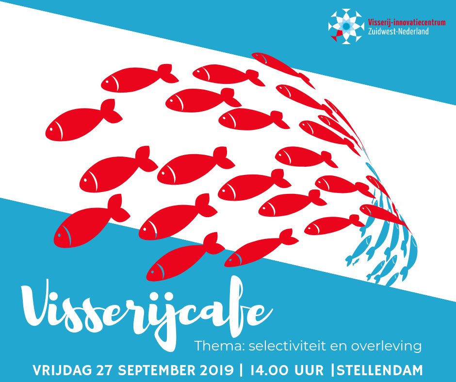 Op vrijdag 27 september a.s. organiseren we in opdracht van het Onderzoekssamenwerkingsproject “Selectiviteit en Overleving” een Visserijcafé.
Aanvang 14.00 uur | Stellendam
Meer info en aanmelden: secretariaat@visserij-innovatiecentrum.nl