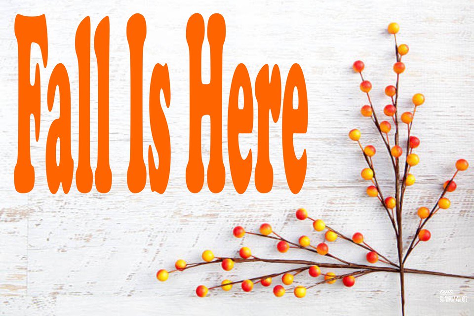 dmg_electronics's tweet image. Happy First Day Of Fall! 🍁🍂

#Fall #Firstdayoffall2019 #fallishere #dmgelectronics
