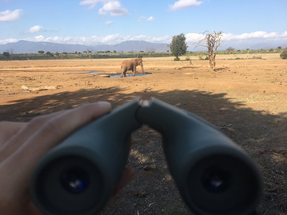 mabiche_11's tweet photo. Kenya 🇰🇪🐾 https://t.co/Xm4CUTKi71