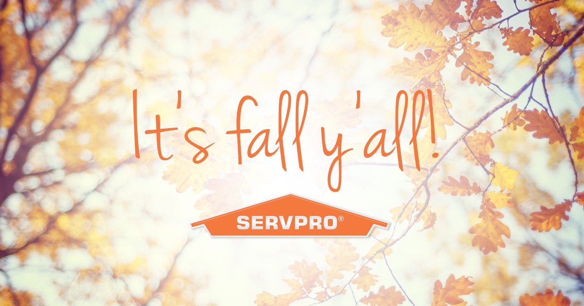 It’s fall, y’all! The activity I am looking forward to the most this fall is ______.