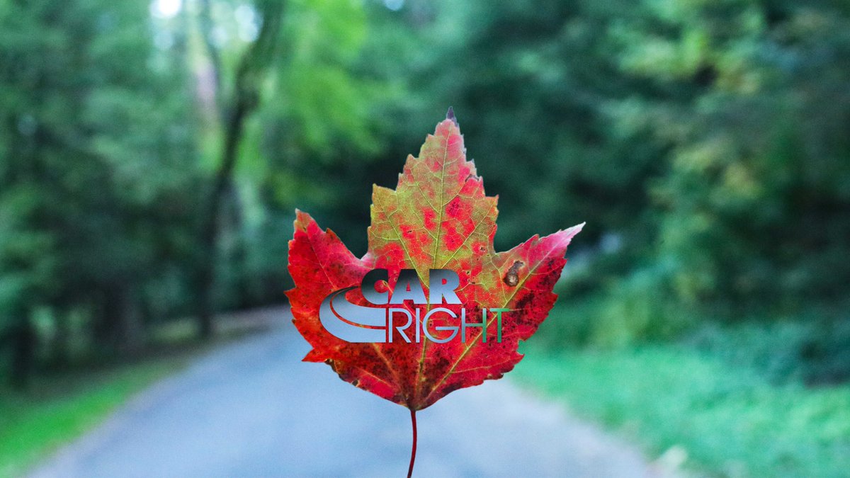 BuyYourCarRight's tweet photo. Happy first day of fall from CarRight🍁 https://t.co/GlVxLDlq9t