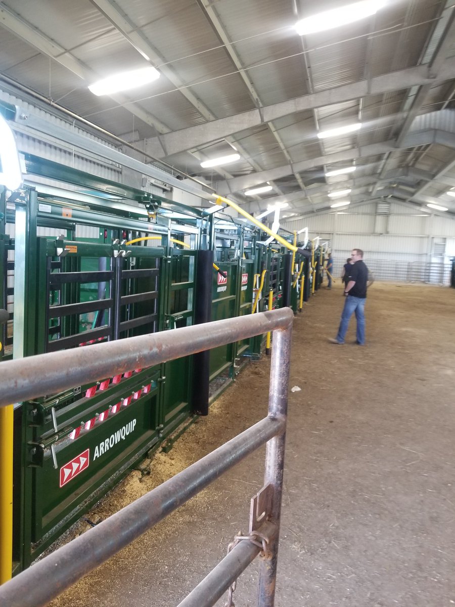 grassncows's tweet photo. Hey @NorheimRanching I thought of you for some reason today. #2rows #arrowquip for days... https://t.co/cr7TD34spR