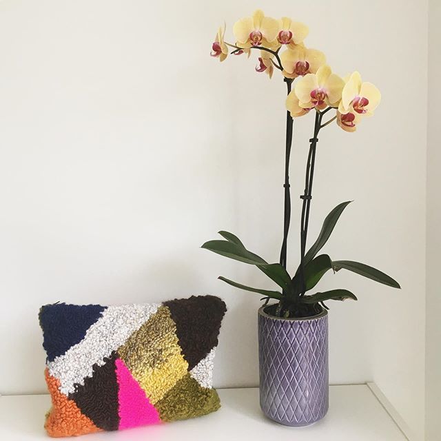 MaisonPenedes's tweet photo. Mi primer bolsito #handmade combinando técnicas de #punchneedle y #rughooking 🌸✨ #punchneedleart #punchneedlegang #fiberart #fiberartist #amyoxford #etsyfinds #handmadebag #pouch #clutch #slowmade #makersmovement #craftwithconscience #craft #bohostyl… https://t.co/YUmtLbVGCk https://t.co/CgT5csZWyA