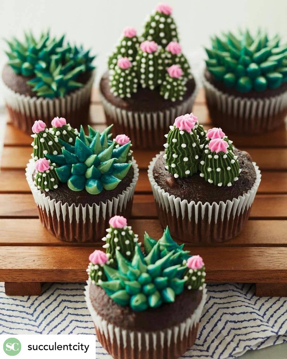 Just_Bake's tweet photo. You’ve gotta love a succulent 🌵💕 Completely smitten by these little cuties shared by @succulentcity 👌
https://t.co/LtcK1NQr8f
#customcakes #icing #icingcakes #fondant #fondantcake #edibletoppers #ediblecaketoppers
#succulentcupcakes #succulents #cacti #cactus #instacactus https://t.co/RlUTjAJ6jI
