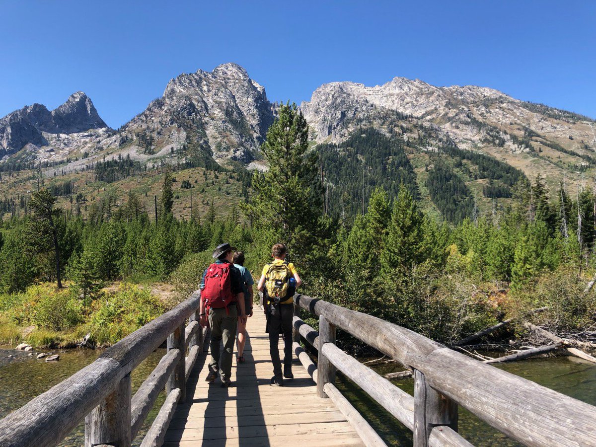 SOARADHD tweet media