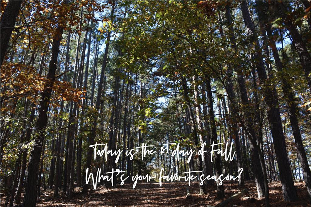 justaskruth's tweet photo. #JustAskRuth Today is the first day of Fall!  So I'm taking a poll!  What's your favorite season?? This is mine, especially in Arkansas!! 😍 https://t.co/WlvUtBxE8t