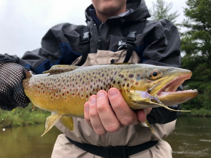 Check out local fishing guide Hawkins Outfitters recent post of fishing on the Manistee River. Stop in for a meal after getting off the river at Coyote Crossing! 🎣
hawkinsoutfitters.com/river-reports/…