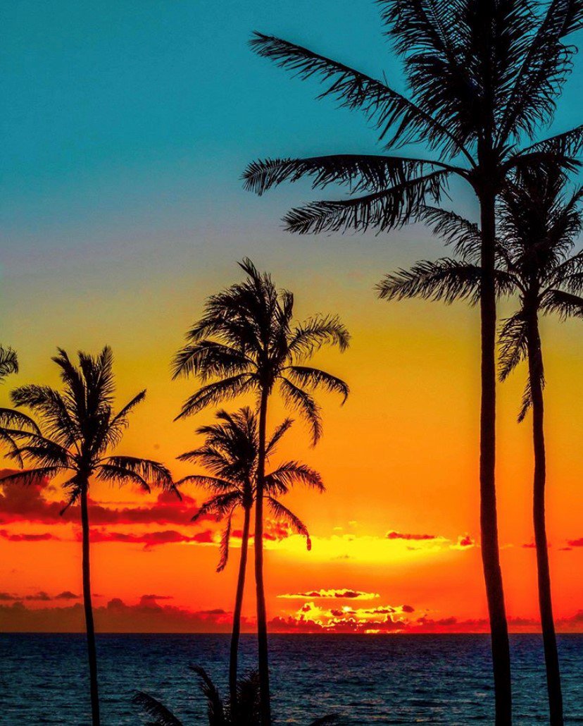 🍁 “Like” if you’re happy that Fall has officially arrived! 🍂 We love the fall colors captured in this Hawaiian Sunset by 📷 <a href="/skyler/">@Skyler</a>.crall