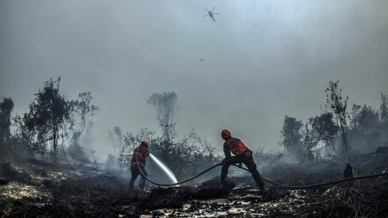 FastPBX's tweet photo. Forest fire in Jambi, Indonesia, making the sky blood red. No this is not Mars. Our planet needs help!!! 

#Indonesia #ForestFires #SaveEarth #ClimateWeekNYC https://t.co/zwpgqvO5Ua
