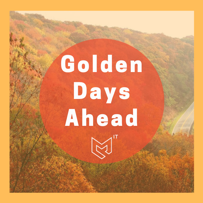 MavenITInc's tweet photo. It’s the first day of #Autumn! 🍂 #HappyFallYall! 🍁

We’re looking forward to all the exciting things that lay ahead this season. #Detroit | #MavenIT | #MakeITHappen | @SHRCCI | @ChristianBC18 https://t.co/cNsT5Ip46Y