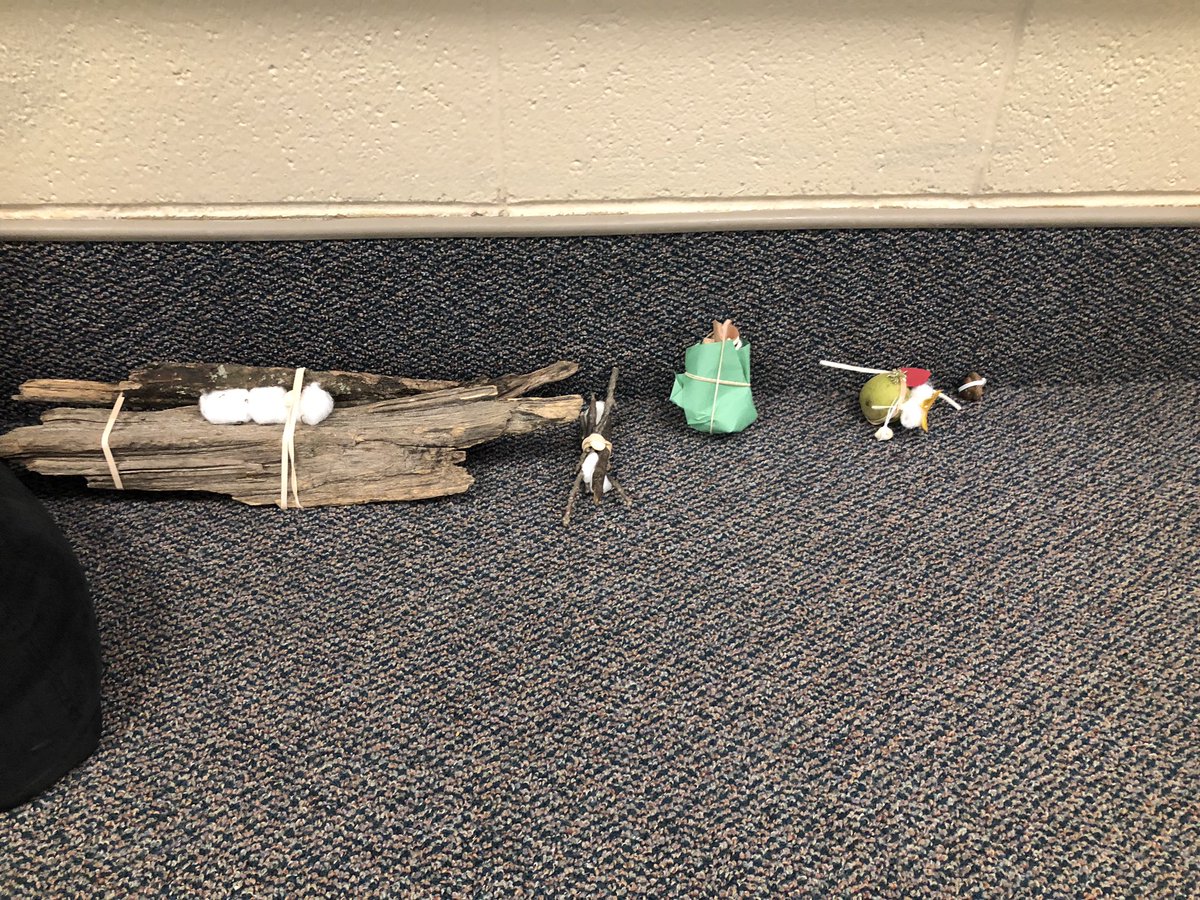 Ms_KourtneyF's tweet photo. Students worked in pairs to find the best way to protect a seed based on their task. It was great seeing the collaboration and creativity of these 3rd graders! https://t.co/rw04VlnOye