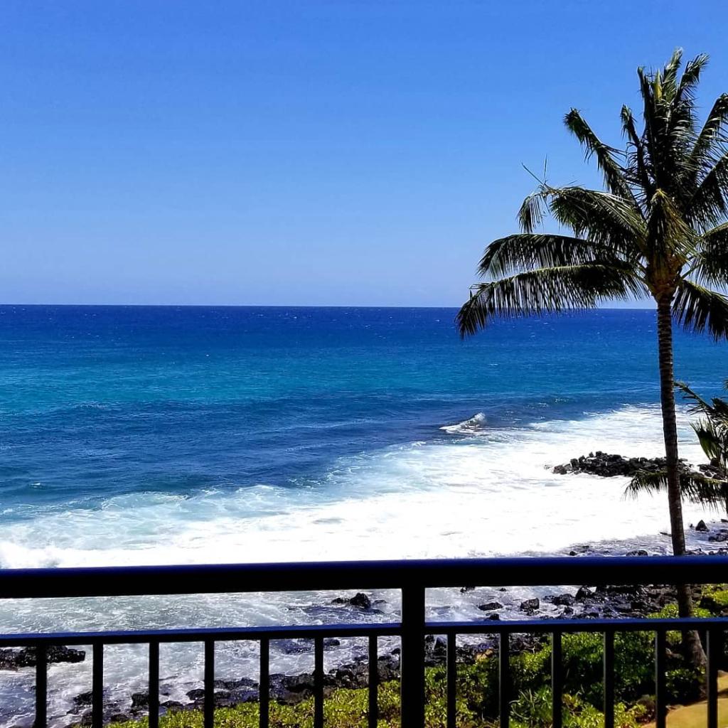 They said it's the #FirstDayofFall ! We looked outside the window, and we still see clear skies and feel the summer breeze!! How's the weather where you are now? 😎