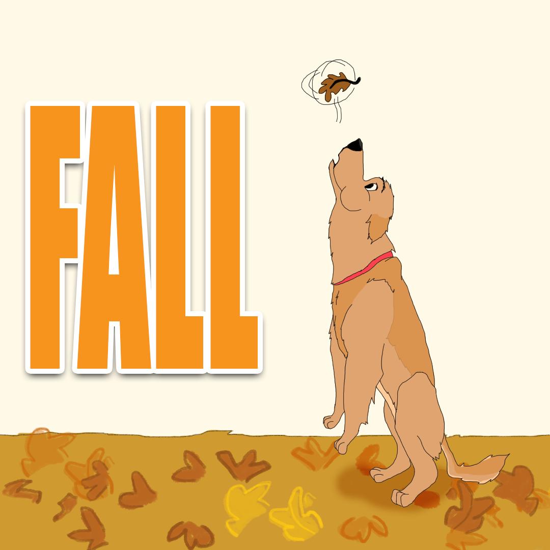 CollegeLifePup's tweet photo. Happy Fall! https://t.co/bobBpNKd6V