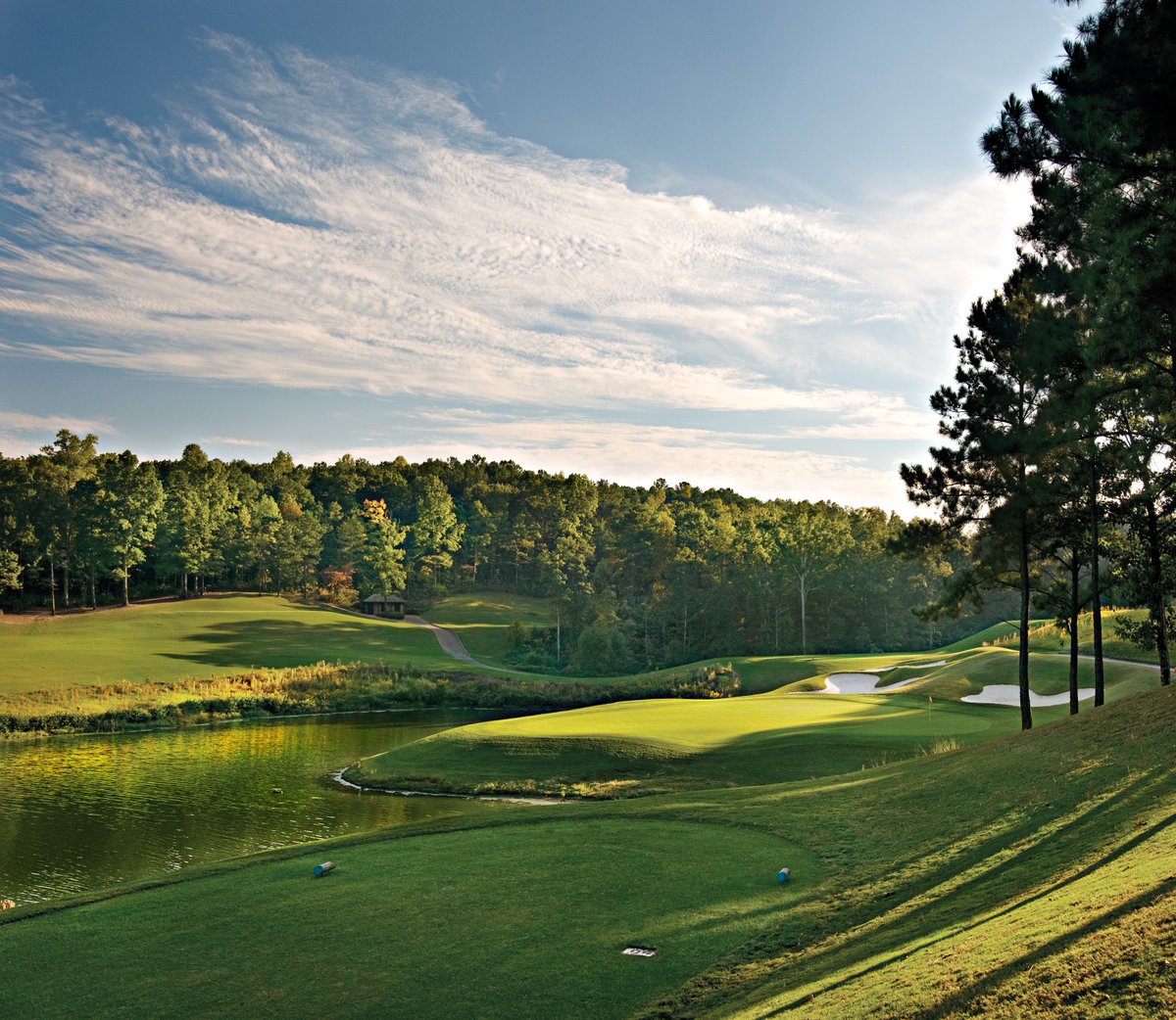 RTJatRossBridge tweet media