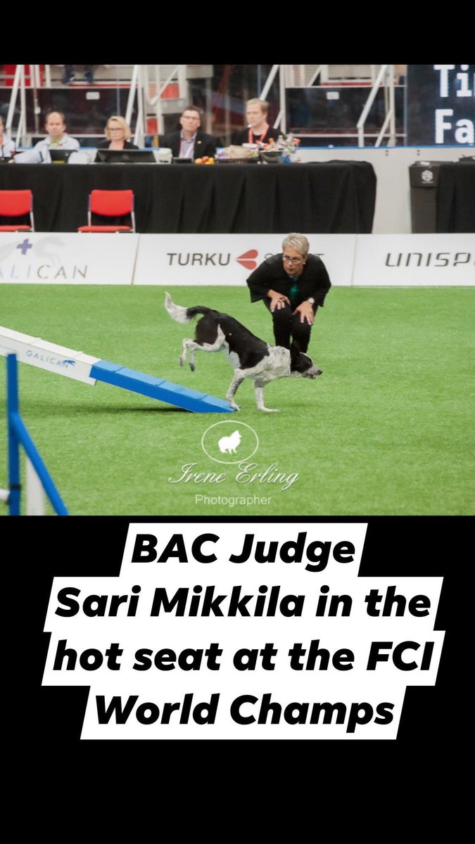 British Agility tweet media