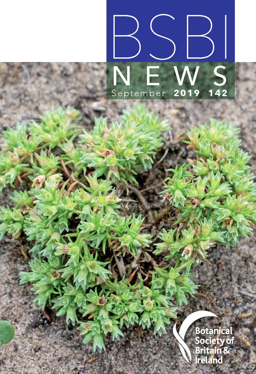 BSBIbotany's tweet photo. The latest issue of #BSBINews is out! #BSBImembers: you'll receive your print copies later this week or you can download a pdf from the members-only area of our website. It's another corker! Here's a sneaky peek at some of the great articles in this issue: https://t.co/T1cmKLqqea https://t.co/kTdoV5RXpo