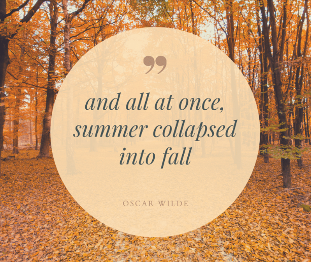 IndiaTaste's tweet photo. Who's ready for that crisp fall air to hit? https://t.co/Y8MAquc8Dl