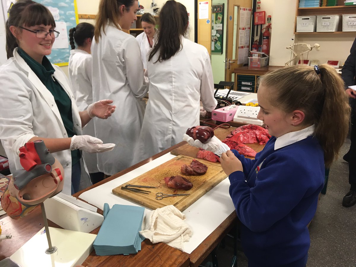Holiday_mg's tweet image. @alunschool @ysgolbryncoch @Year6BC Thank you so much for such an excellent evening, couldn’t drag M away from the Biology department- a definite hit! Diolch yn fawr!