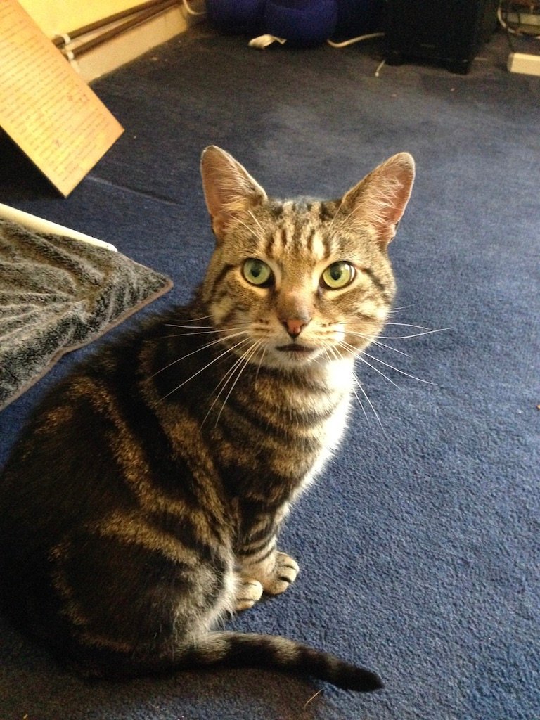 John 🇨🇾🌈 tweet media