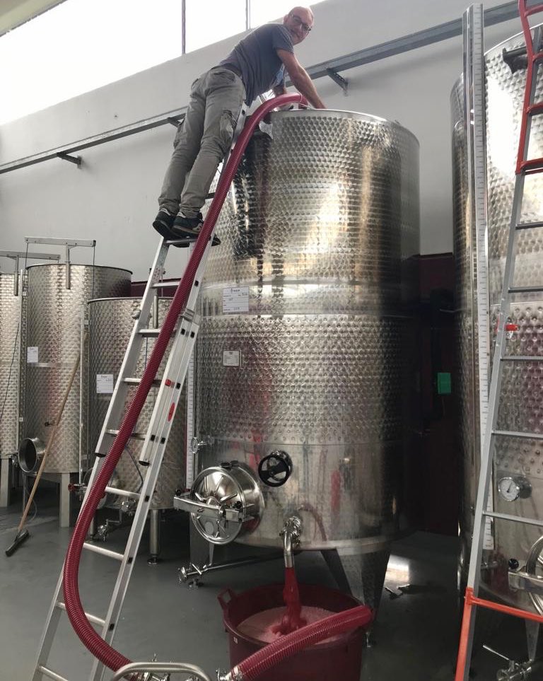 BaloccoDani's tweet photo. Mr. Grignolino #bestiagrama #bes #agricolabes #bereesognare #monferrato #fivi #siamofivi #redwine #vinoitaliano #inconversionebio https://t.co/xKysi6xCvf