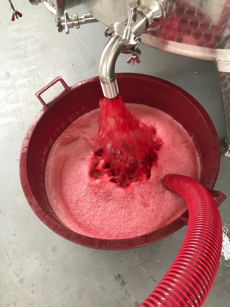 BaloccoDani's tweet photo. Mr. Grignolino #bestiagrama #bes #agricolabes #bereesognare #monferrato #fivi #siamofivi #redwine #vinoitaliano #inconversionebio https://t.co/xKysi6xCvf