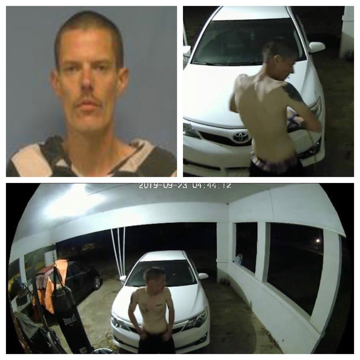 Rebecca Thomason tweet media