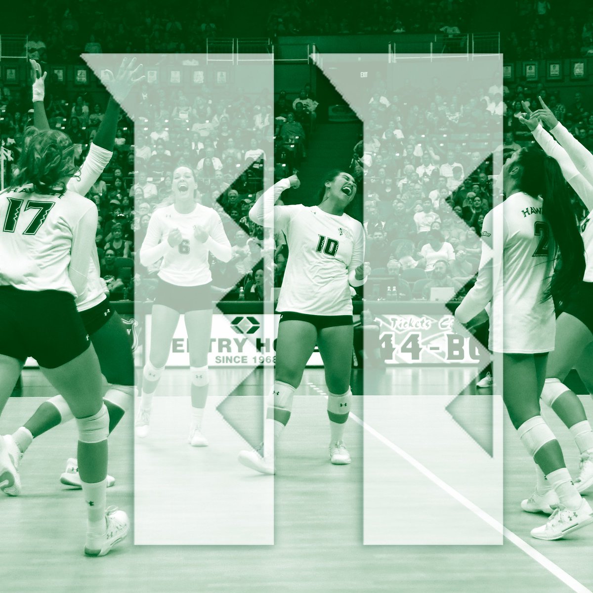 #HawaiiWVB climbs to No. 11 in the AVCA Top 25 Coaches Poll on Monday. It is UH's highest ranking since UH finished at No. 7 in the final poll of 2015. 
#GoBows 🌈🏐
