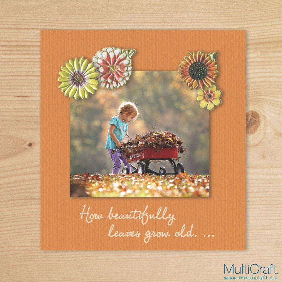 MultiCraft_Intl's tweet image. Happy First Day of Fall! 

#MultiCraft #makingcreativityaffordable #diy #createeveryday #doityourself #creativeminds #imagination  #designisinthedetails  #dowhatyoulove #livecreatively #feelingcrafty #scrapbooking #cardmaking #mixedmedia #create  #unwind #creative