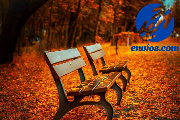 Envioscom1's tweet image. Hi Autumn!!! #FirstDayofAutumn #firstdayofall #MondayMotivation #Envioscom #mondaythoughts #SendMoneySaveMonday