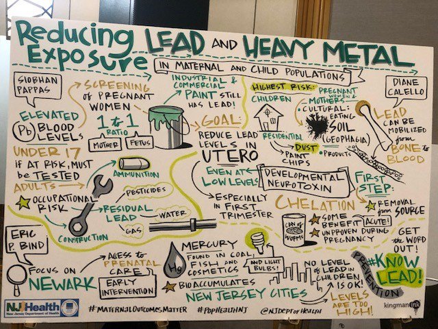NJPoisonCenter's tweet photo. One of the morning sessions at today’s @NJDeptofHealth’s Population Health Summit. @DrDianeC @NJPoisonCenter at @RutgersNJMS discusses lead exposure in #pregnancy. @AAPCC #kNOwLEAD #PopHealthNJ #PoisonControl #MondayThoughts #MaternalOutcomesMatter #PoisonHelp #Facts #wellness https://t.co/AwF0o2bWg0
