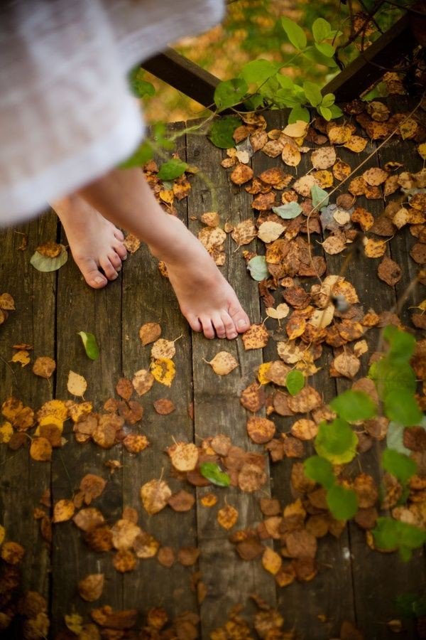 TatiOlivier3's tweet photo. È disonesto rubare. 
A meno che non ti chiami autunno 
e rubi un giorno all'estate. 

#InAutunnoCon 🍂
#CasaLettori 

#23settembre https://t.co/3I0yVq5wJf