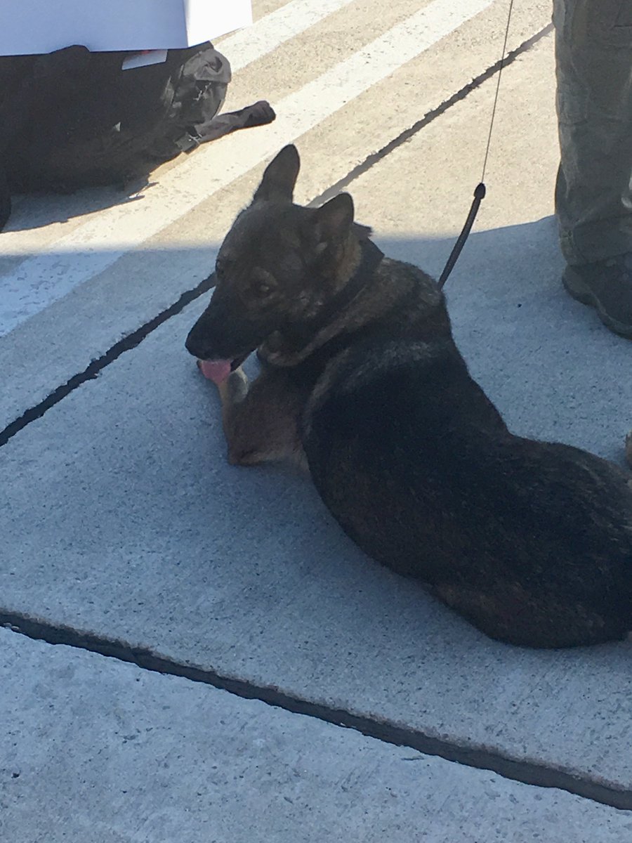 This is the official airport security for people travelling with Liberal campaign. Flying from Hamilton to B.C after today’s pharmacare announcement.