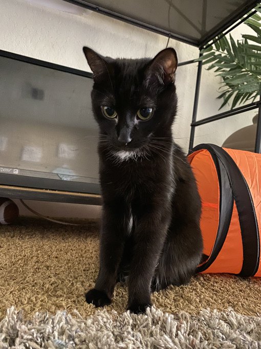 She&rsquo;s so small 😭 https://t.co/E7bwZXwyLt<a href="/tag/newprofilepic"class="tags"><span>#newprofilepic</span></a>