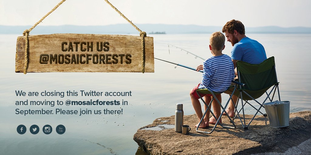 Have you joined us over <a href="/mosaicforests/">MosaicForests</a>? We will be closing this account shortly - to continue to receive our news of contests, recreational access, community events and more please follow us there <a href="/mosaicforests/">MosaicForests</a>!