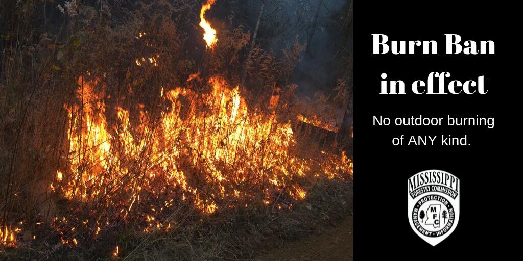 MS Forestry Commission (@msforestrycomm) on Twitter photo BREAKING: The Mississippi Forestry Commission has approved a #burnban in Montgomery County effective until October 23. Outdoor burning is prohibited. For a list of active burn bans, visit mfc.ms.gov/burn-bans. #MSforestry #wildfireprevention BREAKING: The Mississippi Forestry Commission has approved a #burnban in Montgomery County effective until October 23. Outdoor burning is prohibited. For a list of active burn bans, visit mfc.ms.gov/burn-bans. #MSforestry #wildfireprevention